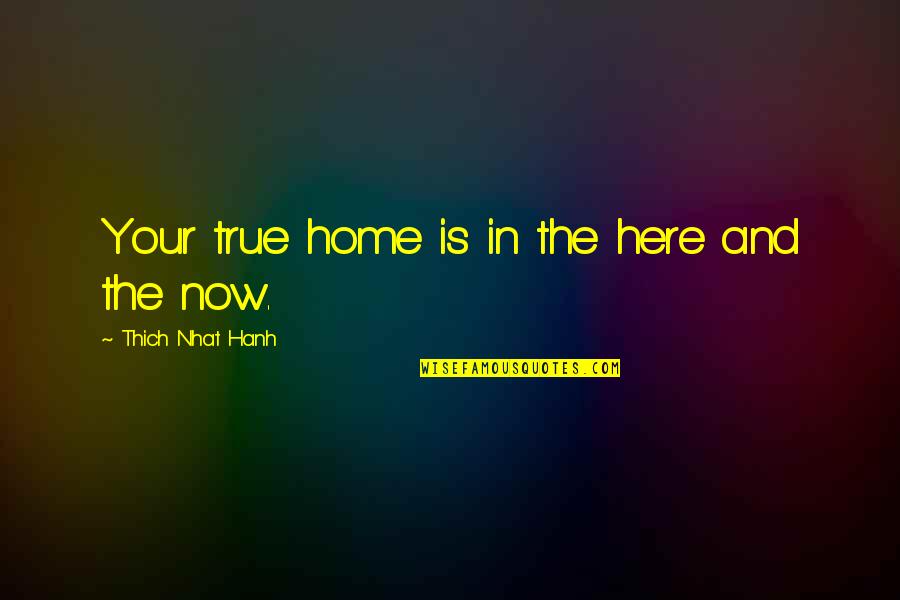 Thich Quotes By Thich Nhat Hanh: Your true home is in the here and