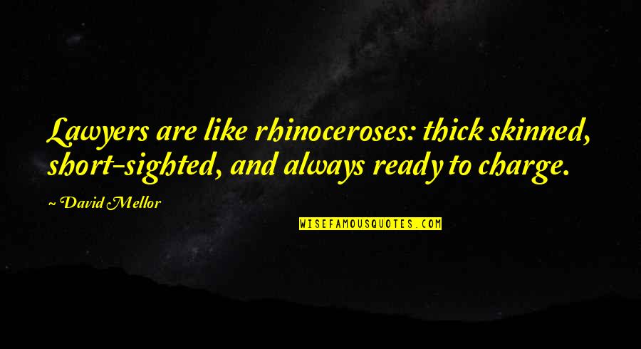 Thick Skinned Quotes By David Mellor: Lawyers are like rhinoceroses: thick skinned, short-sighted, and