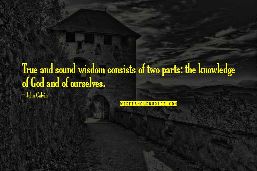 Thicko Quotes By John Calvin: True and sound wisdom consists of two parts: