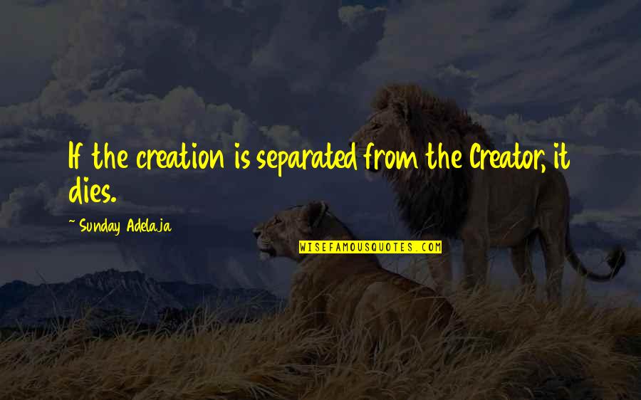 Thierry Wasser Quotes By Sunday Adelaja: If the creation is separated from the Creator,