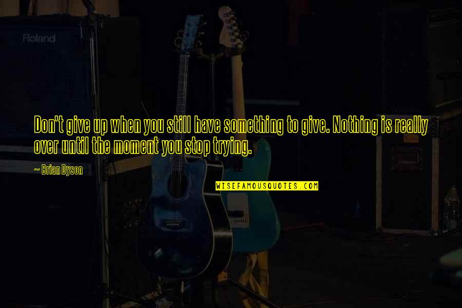 Thijmen Name Quotes By Brian Dyson: Don't give up when you still have something