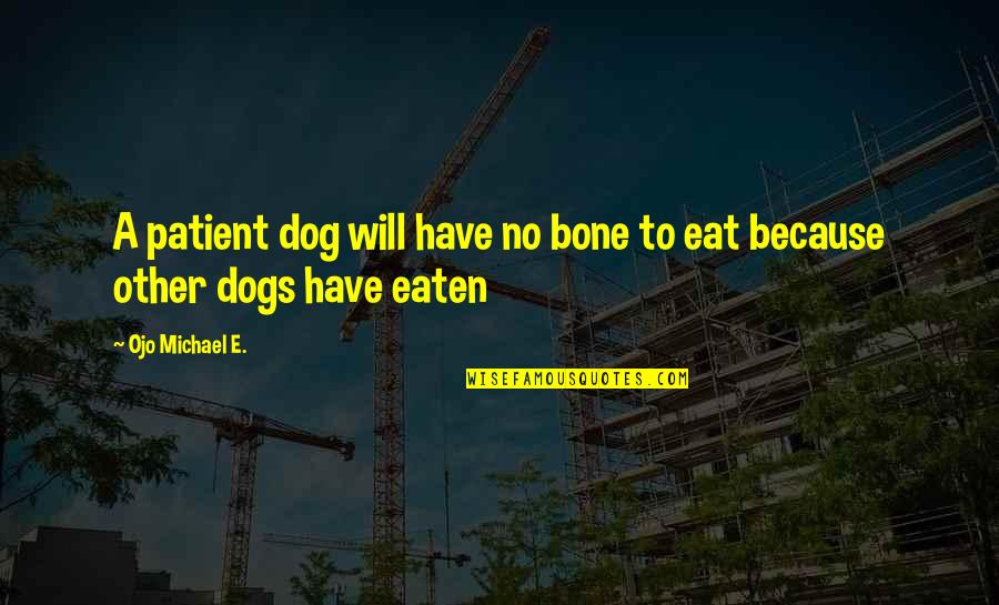 Thilak Kandegama Quotes By Ojo Michael E.: A patient dog will have no bone to Thilak Kandegama Quotes By Ojo Michael E.: A patient dog will have no bone to