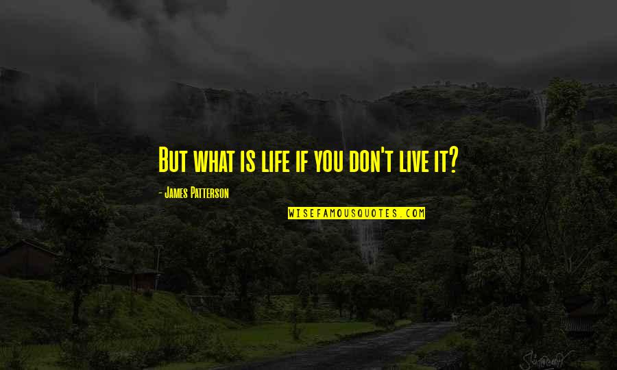 Thilo Sarrazin Quotes By James Patterson: But what is life if you don't live