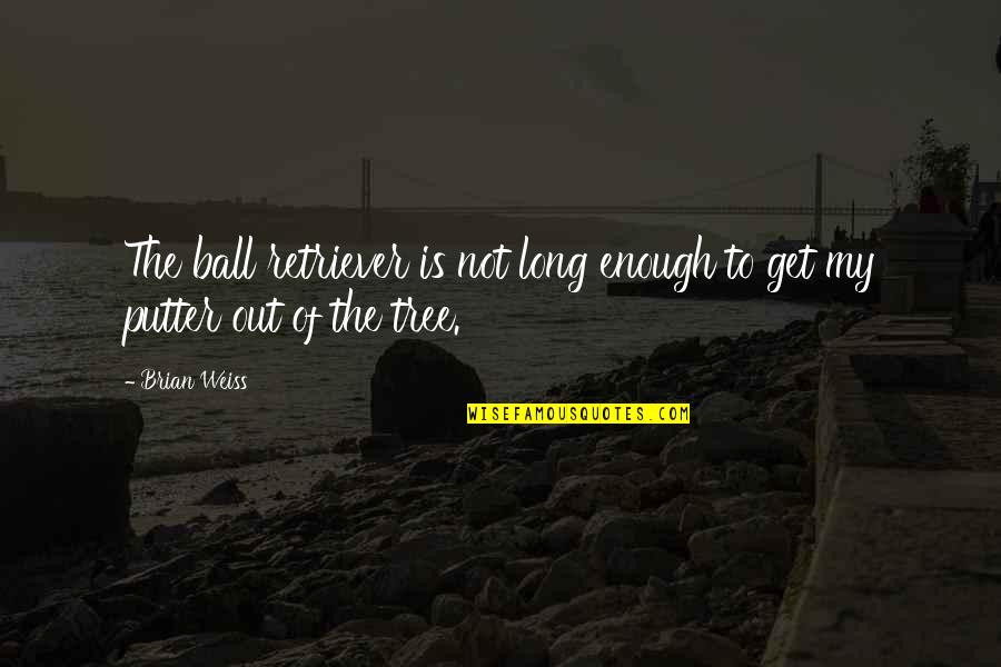 Thin Body Quotes By Brian Weiss: The ball retriever is not long enough to
