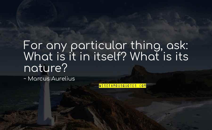 Thing In Itself Quotes By Marcus Aurelius: For any particular thing, ask: What is it Thing In Itself Quotes By Marcus Aurelius: For any particular thing, ask: What is it