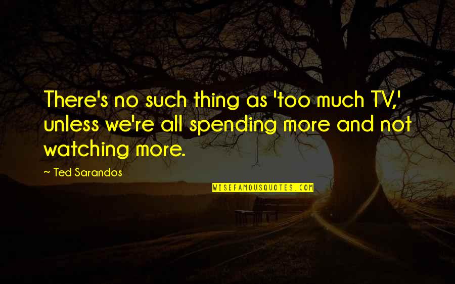 Thing More Quotes By Ted Sarandos: There's no such thing as 'too much TV,'