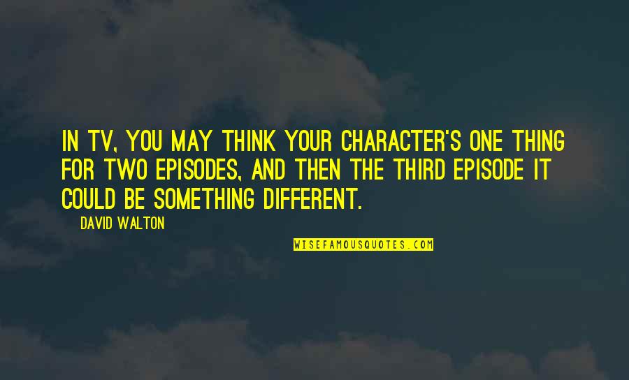 Thing One And Thing Two Quotes By David Walton: In TV, you may think your character's one