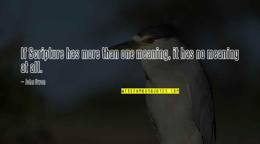 Thinglink Logo Quotes By John Owen: If Scripture has more than one meaning, it