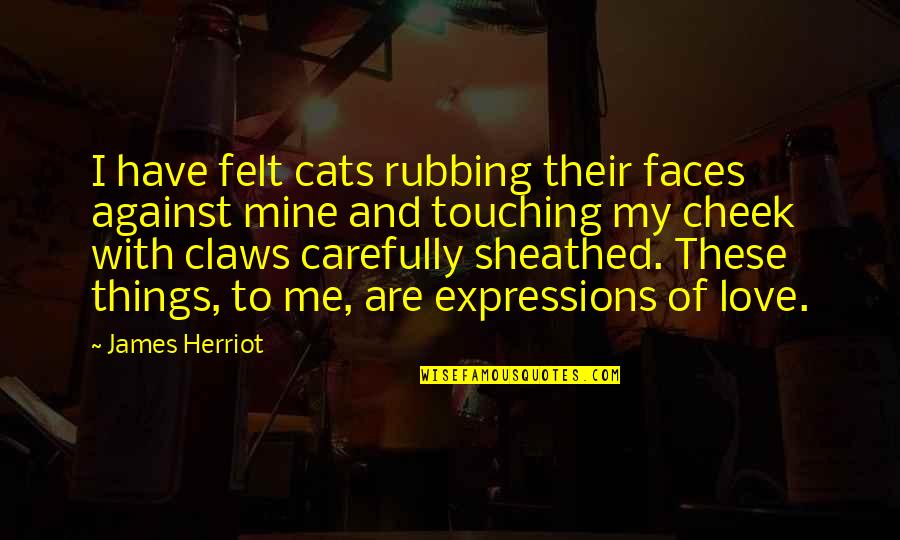 Things Against Quotes By James Herriot: I have felt cats rubbing their faces against