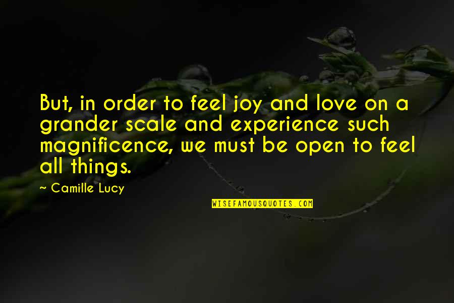 Things And Such Quotes By Camille Lucy: But, in order to feel joy and love