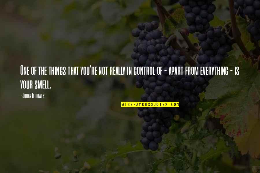 Things Apart Quotes By Julian Fellowes: One of the things that you're not really