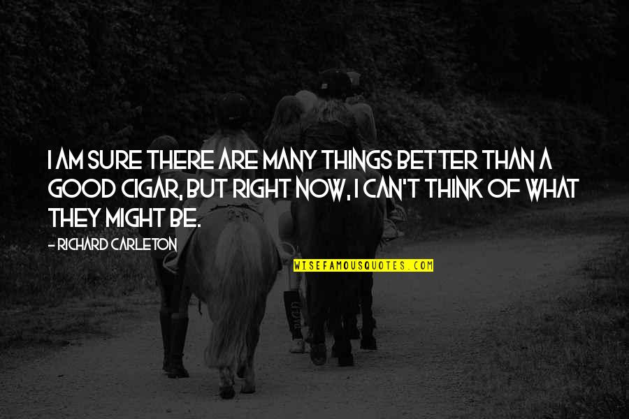 Things Are Better Now Quotes By Richard Carleton: I am sure there are many things better