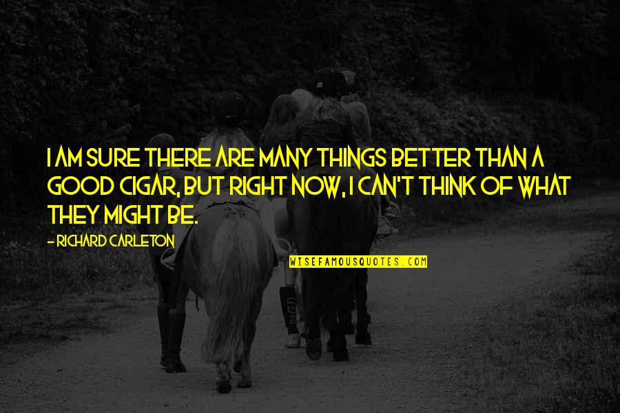 Things Are Better Quotes By Richard Carleton: I am sure there are many things better