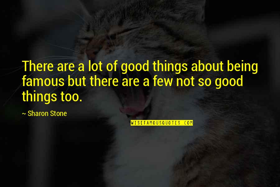 Things Are Not Good Quotes By Sharon Stone: There are a lot of good things about