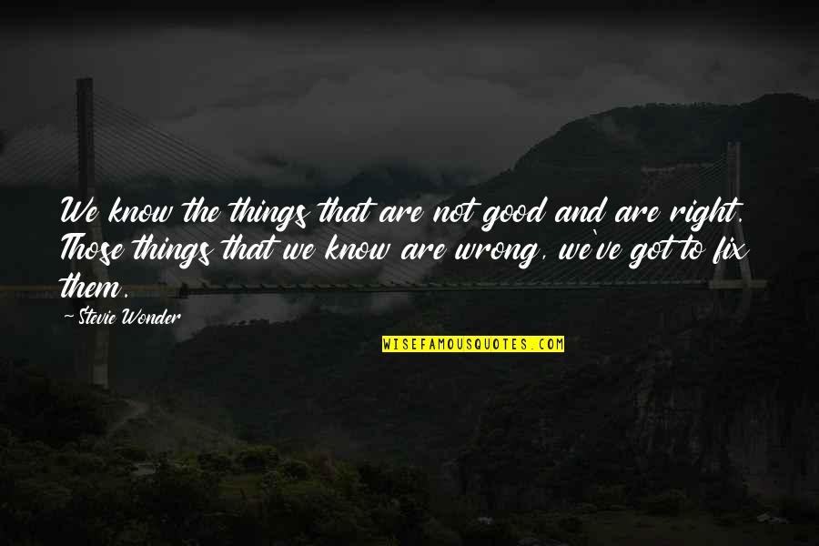 Things Are Not Good Quotes By Stevie Wonder: We know the things that are not good