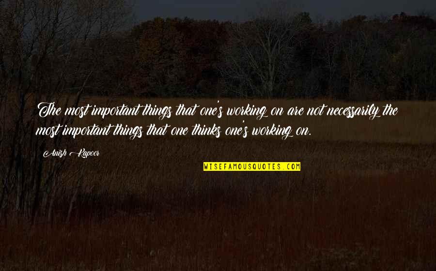 Things Are Not Important Quotes By Anish Kapoor: The most important things that one's working on