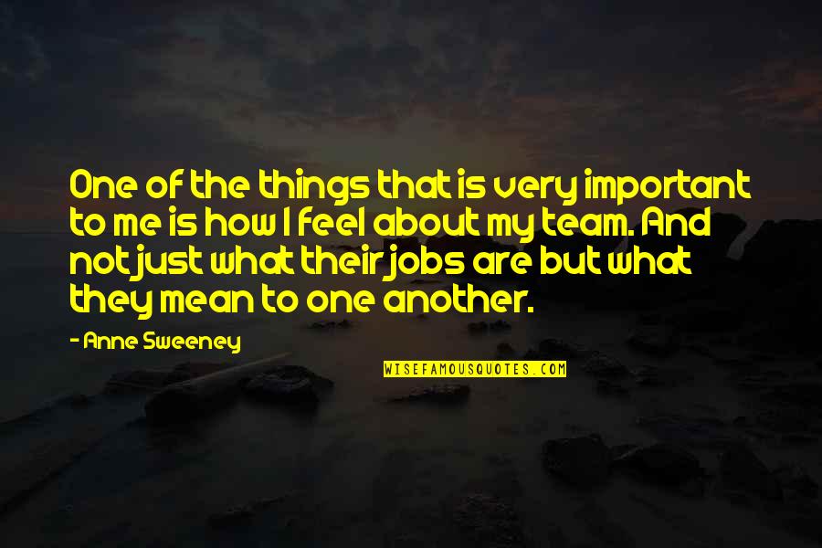Things Are Not Important Quotes By Anne Sweeney: One of the things that is very important