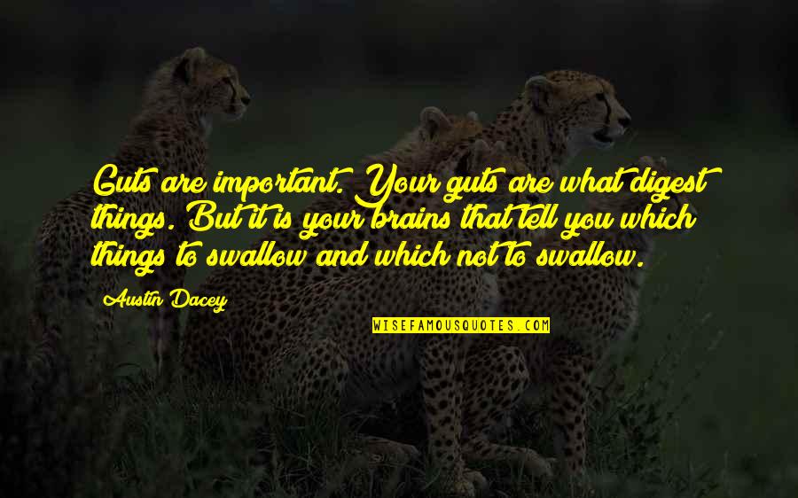 Things Are Not Important Quotes By Austin Dacey: Guts are important. Your guts are what digest