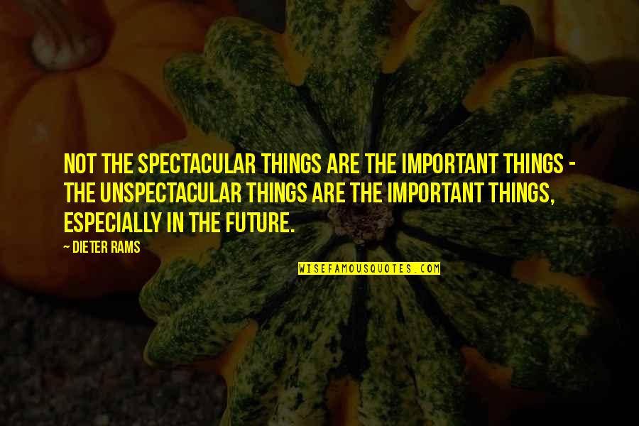 Things Are Not Important Quotes By Dieter Rams: Not the spectacular things are the important things