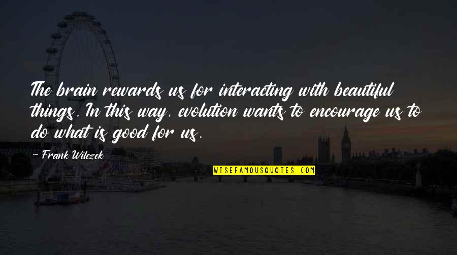 Things Beautiful Quotes By Frank Wilczek: The brain rewards us for interacting with beautiful Things Beautiful Quotes By Frank Wilczek: The brain rewards us for interacting with beautiful