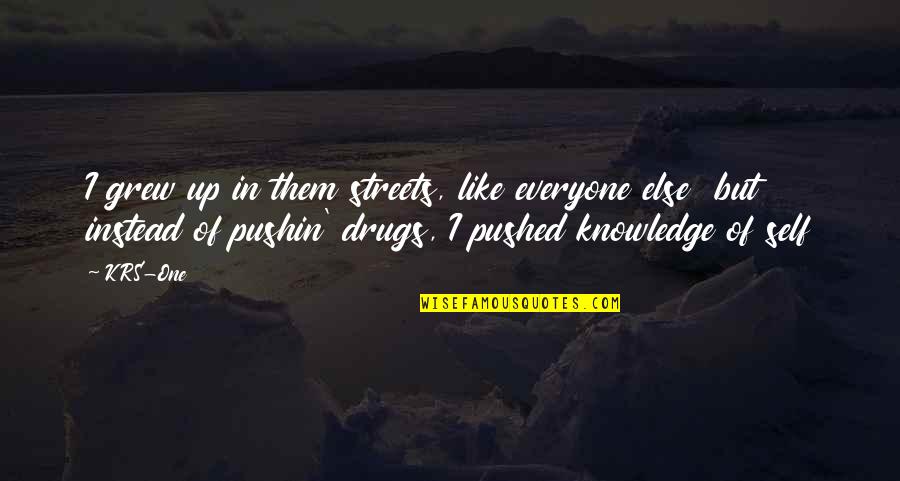 Things Change Yet Remain The Same Quotes By KRS-One: I grew up in them streets, like everyone