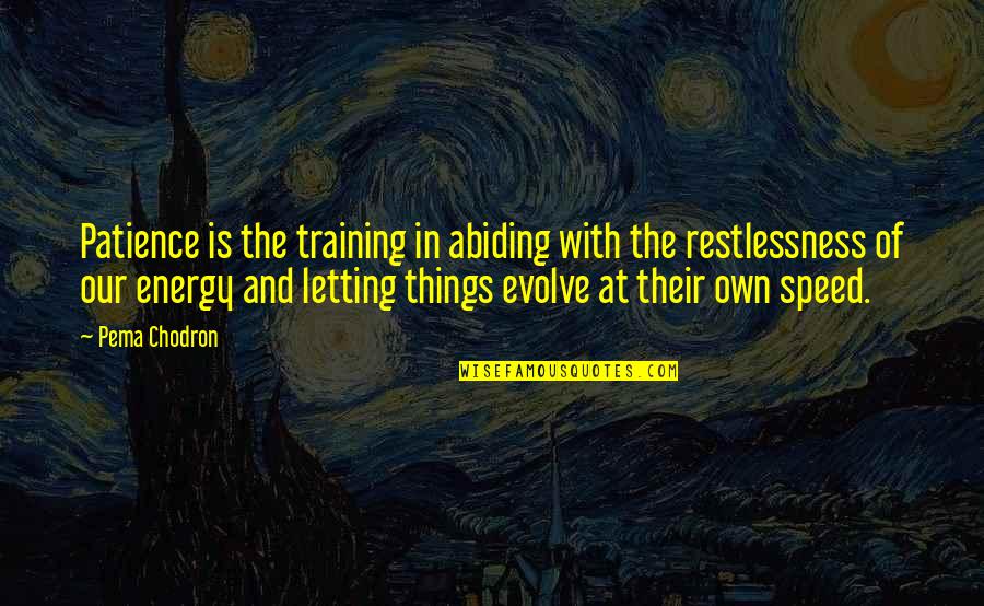 Things Evolve Quotes By Pema Chodron: Patience is the training in abiding with the
