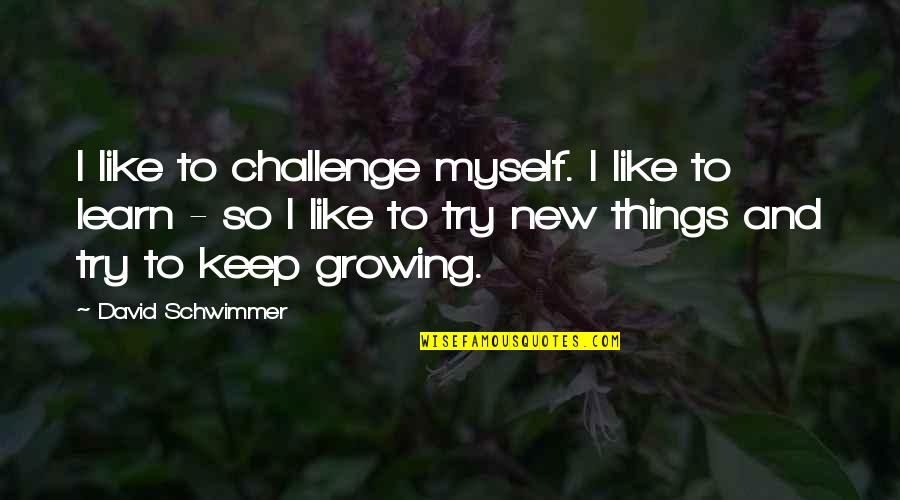 Things Growing Quotes By David Schwimmer: I like to challenge myself. I like to