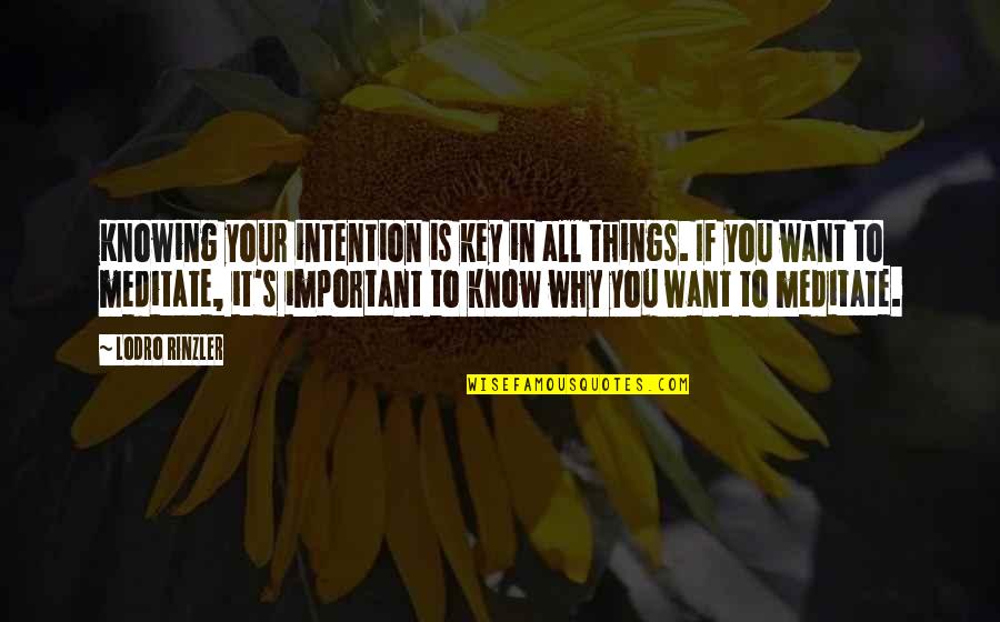 Things Important To You Quotes By Lodro Rinzler: Knowing your intention is key in all things.