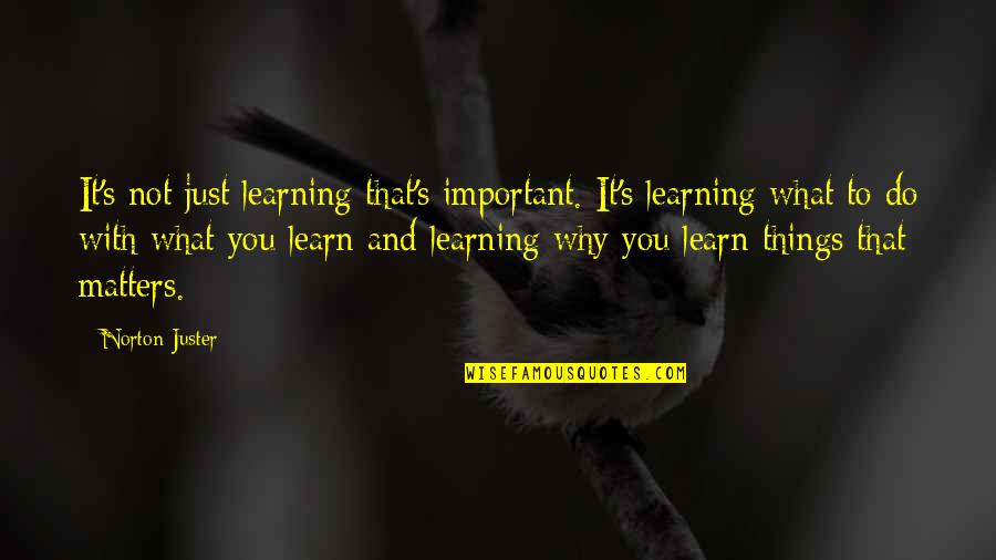 Things Important To You Quotes By Norton Juster: It's not just learning that's important. It's learning