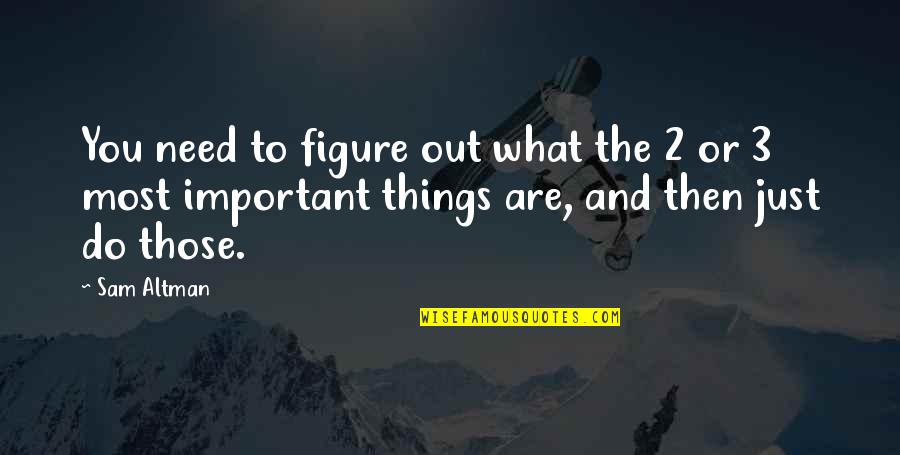 Things Important To You Quotes By Sam Altman: You need to figure out what the 2