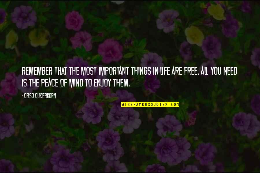 Things In Life Are For Free Quotes By Celso Cukierkorn: Remember that the most important things in life
