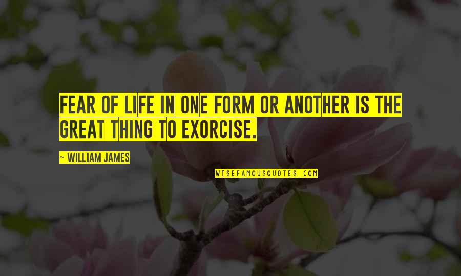Things In Life Quotes By William James: Fear of life in one form or another