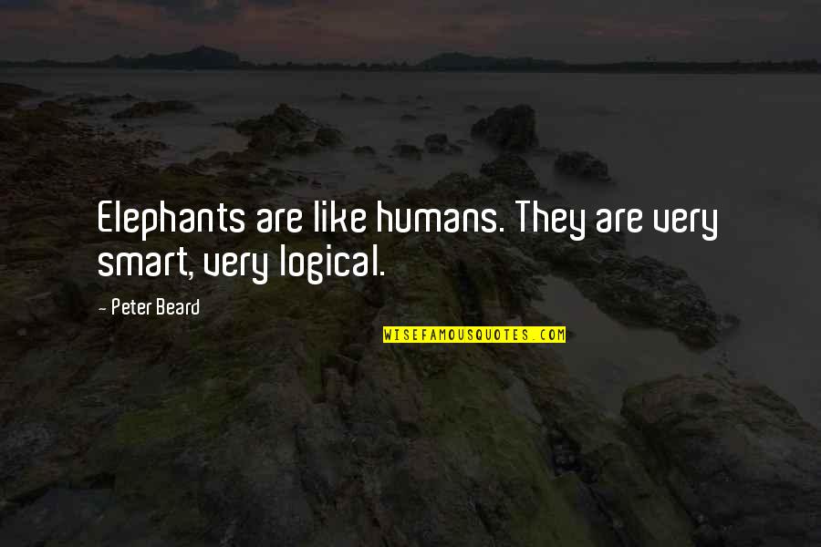 Things Not Being Easy But Worth It Quotes By Peter Beard: Elephants are like humans. They are very smart,