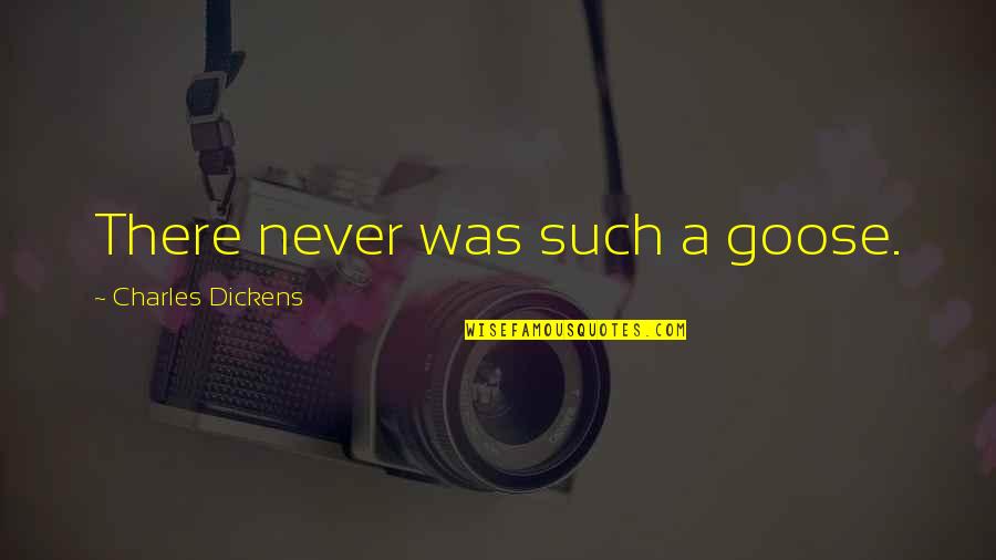 Things Not Feeling Right Quotes By Charles Dickens: There never was such a goose.