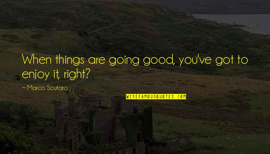 Things Not Going Right Quotes By Marco Scutaro: When things are going good, you've got to