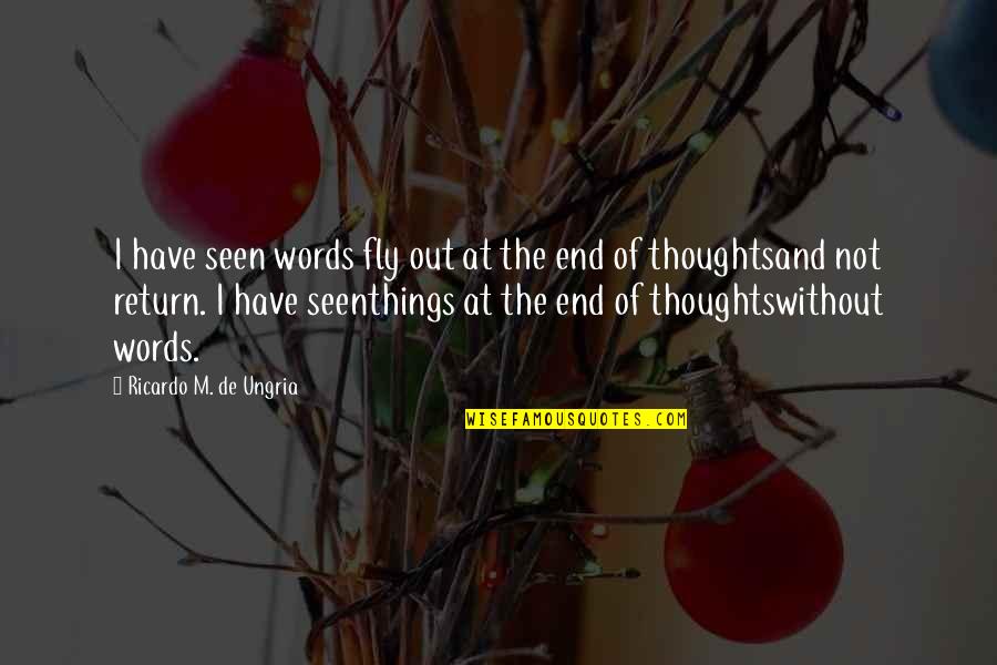 Things Not Seen Quotes By Ricardo M. De Ungria: I have seen words fly out at the