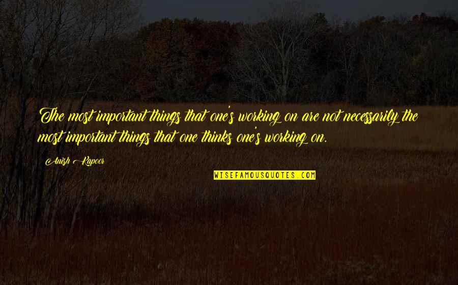 Things Not Working Quotes By Anish Kapoor: The most important things that one's working on