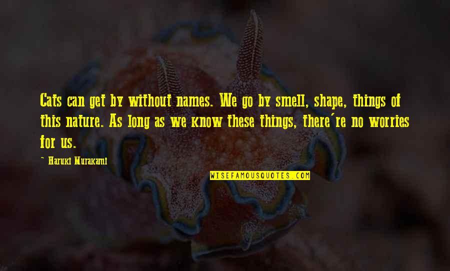 Things Of This Nature Quotes By Haruki Murakami: Cats can get by without names. We go