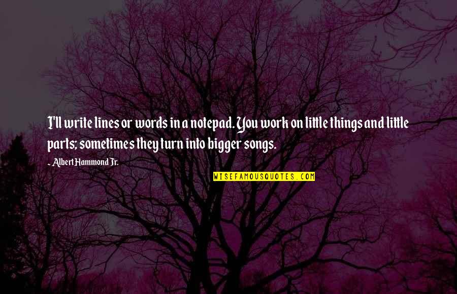 Things Or Things Quotes By Albert Hammond Jr.: I'll write lines or words in a notepad.