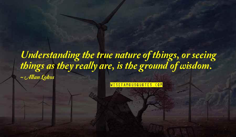 Things Or Things Quotes By Allan Lokos: Understanding the true nature of things, or seeing