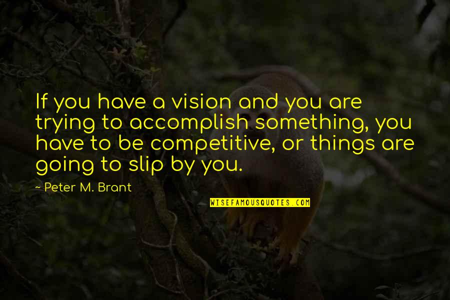 Things Or Things Quotes By Peter M. Brant: If you have a vision and you are