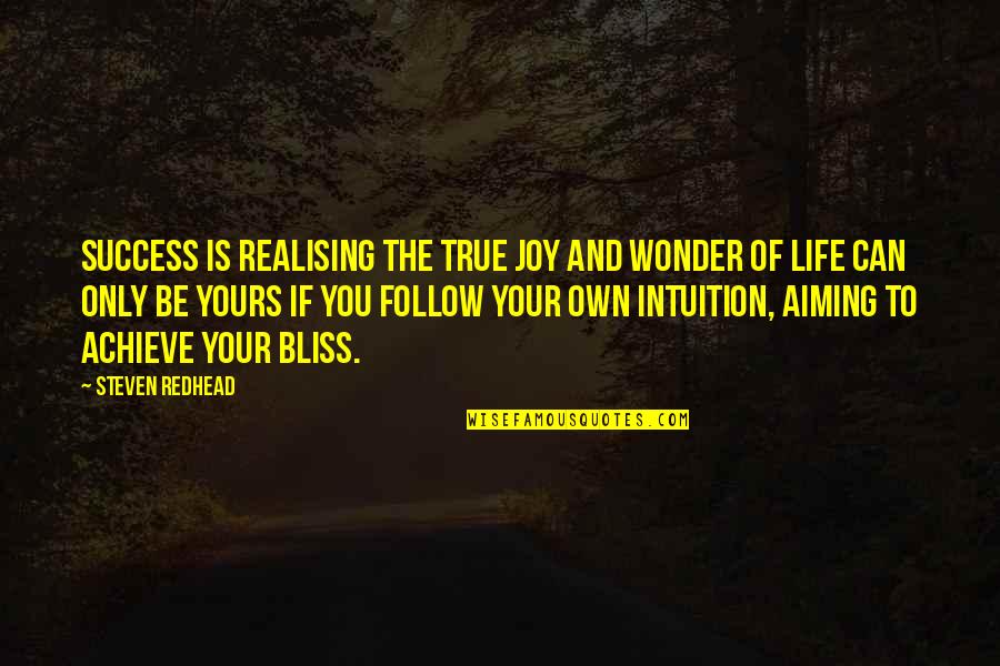 Things Taken For Granted Quotes By Steven Redhead: Success is realising the true joy and wonder