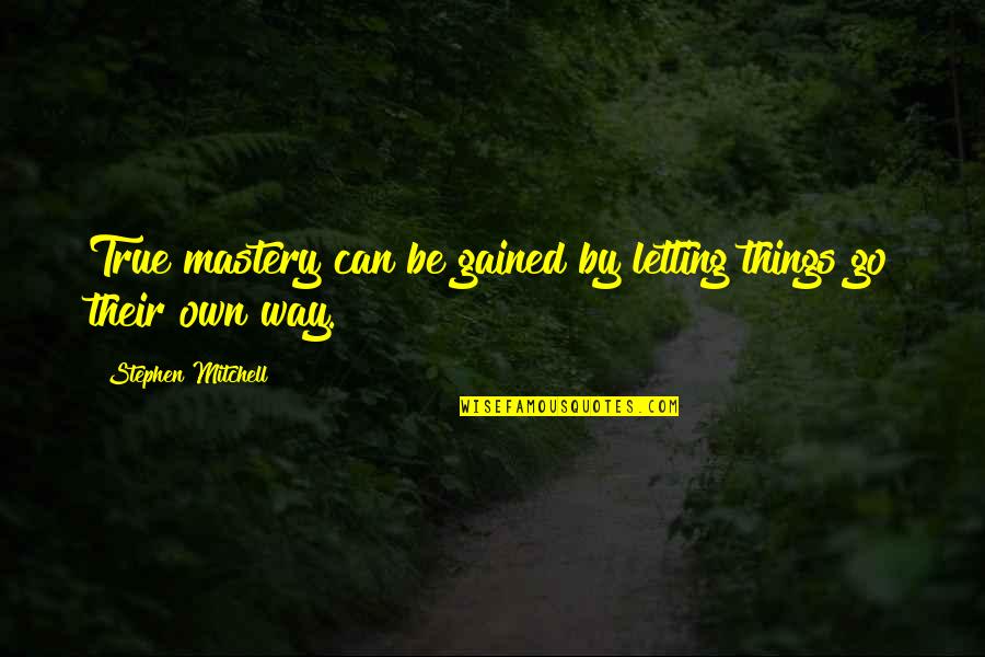 Things To Go My Way Quotes By Stephen Mitchell: True mastery can be gained by letting things