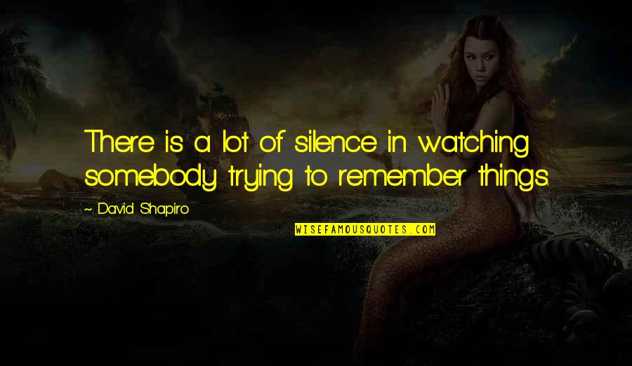 Things To Remember Quotes By David Shapiro: There is a lot of silence in watching