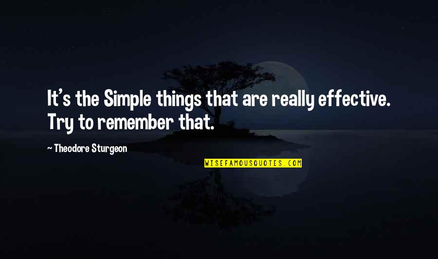 Things To Remember Quotes By Theodore Sturgeon: It's the Simple things that are really effective.