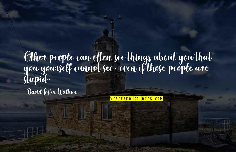 Things We Cannot See Quotes By David Foster Wallace: Other people can often see things about you