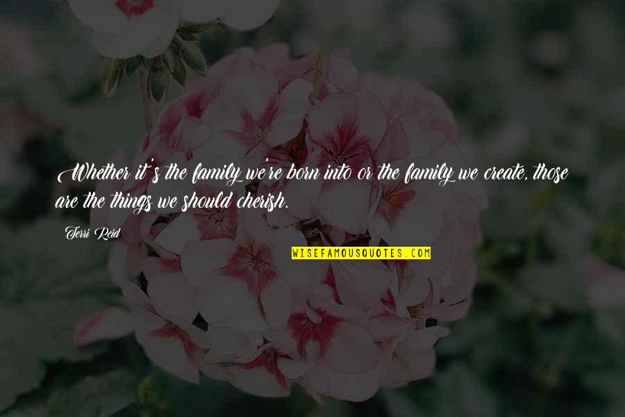 Things We Cherish Quotes By Terri Reid: Whether it's the family we're born into or