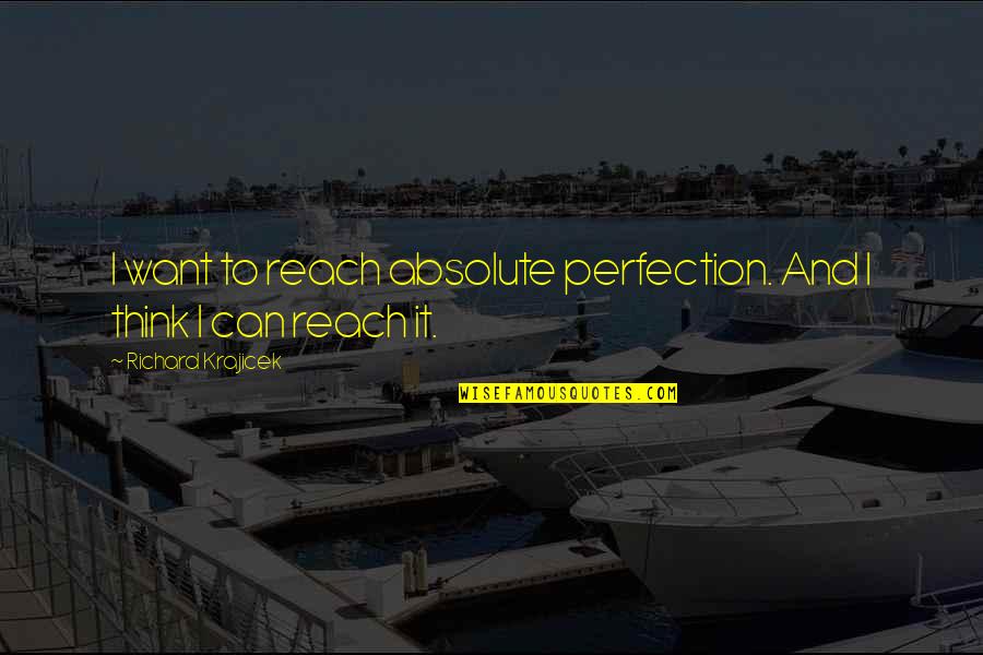 Things We Didnt See Coming Quotes By Richard Krajicek: I want to reach absolute perfection. And I Things We Didnt See Coming Quotes By Richard Krajicek: I want to reach absolute perfection. And I