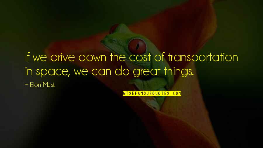 Things We Do Quotes By Elon Musk: If we drive down the cost of transportation