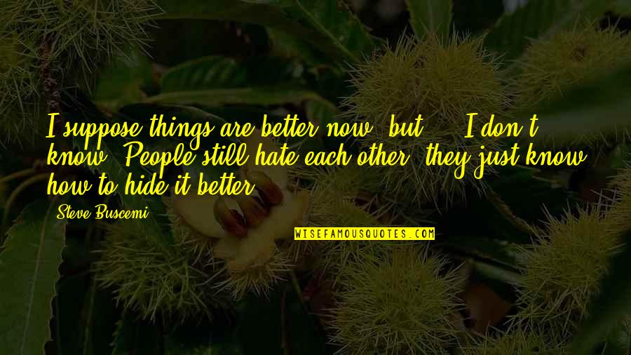 Things We Hide Quotes By Steve Buscemi: I suppose things are better now, but ...